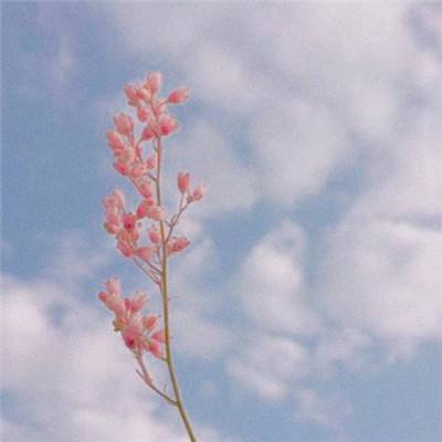 斩魔手游小米版下载