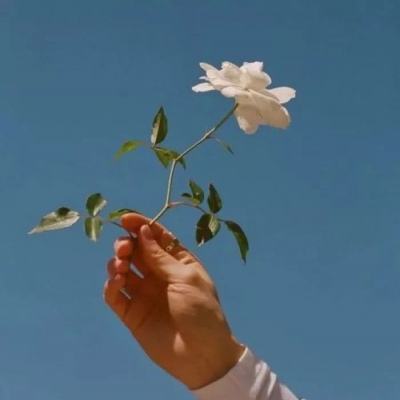 火影忍者忍者大师满v版下载