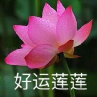 悬吊人世界手游下载