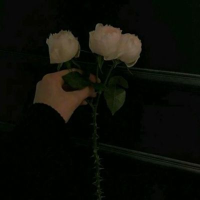 停车漂移游戏下载